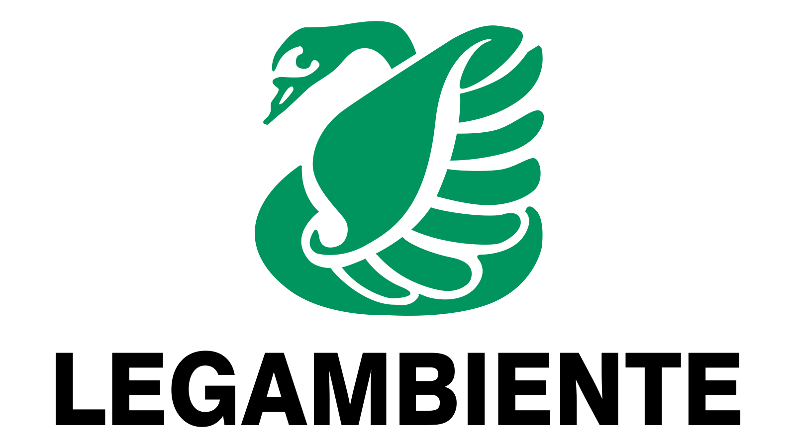 sponsor image