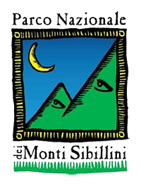 sponsor image