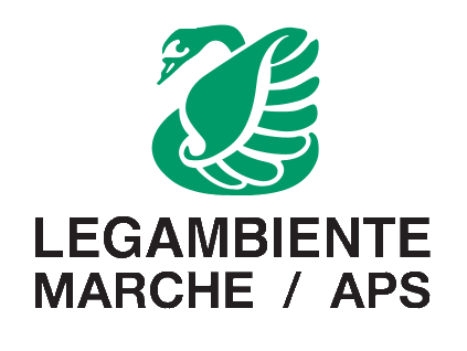 sponsor image
